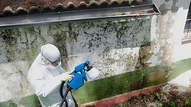 Top rated local Mold Remediation specialists in New Berlin, PA